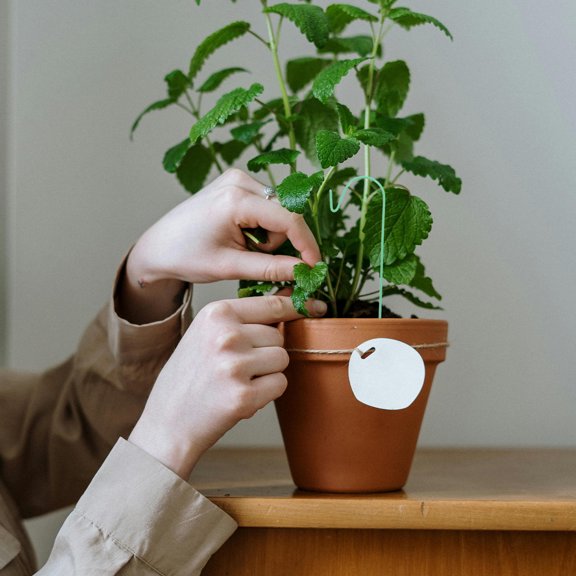unbranded 50Ud Metálicos Para Jardín Con Agarre Fuerte Para Colgar Macetas Faroles Y Comederos