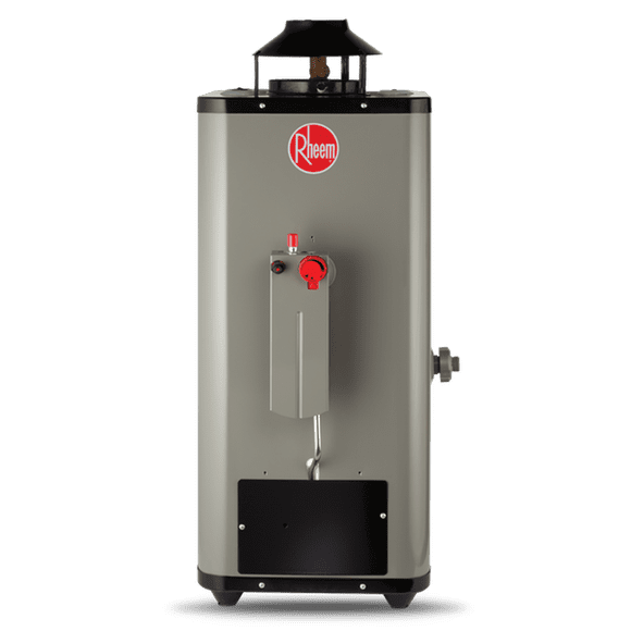 Calentador de Agua Rheem Gas LP 10 Litros por Min 2 Servicios gris