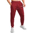 thumbnail image 1 of Pants Jogger Para Hombre Shendy Vendy Deportivo Slim Fit Elástico, 1 of 4