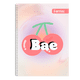 thumbnail image 5 of Cuaderno Profesional A4 Espiral Europeo Ferrini 100 Hojas Pack 6 Raya Femenino, 5 of 10
