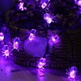 thumbnail image 1 of Decoraciones de Halloween, adornos de Halloween, cadena de luces LED de araña de 20 luces, cadena de luces de Halloween para decoración de interiores y exteriores, iluminación de Halloween para patio,, 1 of 6