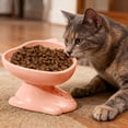 thumbnail image 1 of Plastic Cats Bowl Dog Bowl Cats Food Bowl Drinking Bowl To Cervical Vertebra Pet Bowl, 1 of 5