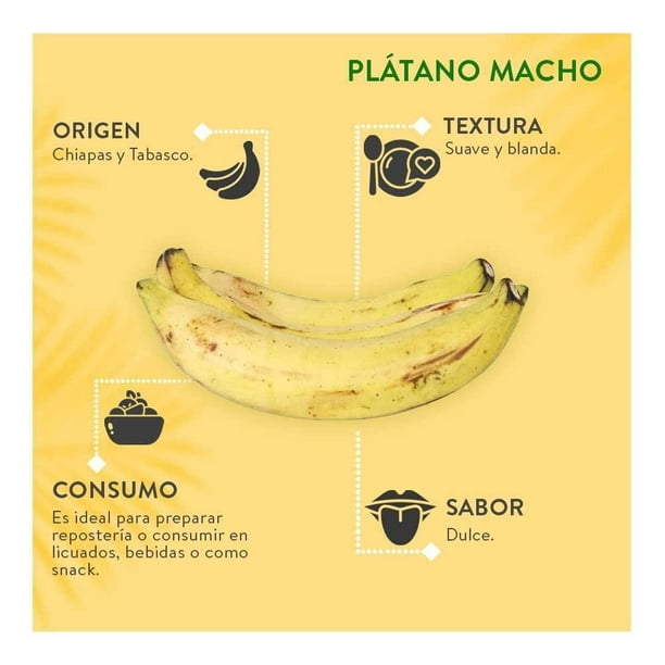 Imagen 6 de Plátano Macho pieza por Kilo