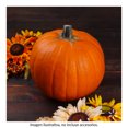 thumbnail image 3 of Calabaza Halloween, 3 of 6