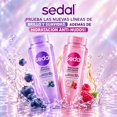 thumbnail image 2 of Acondicionador Sedal Brillo y Suavidad Arándano y Óleos 620 ml, 2 of 6