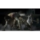 thumbnail image 2 of RED DEAD REDEMPTION GAME OF THE YEAR EDITION Rockstar Games, 2 of 3