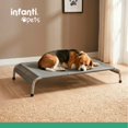 thumbnail image 2 of Cama elevada para mascotas Infanti Pets mediana, 2 of 4