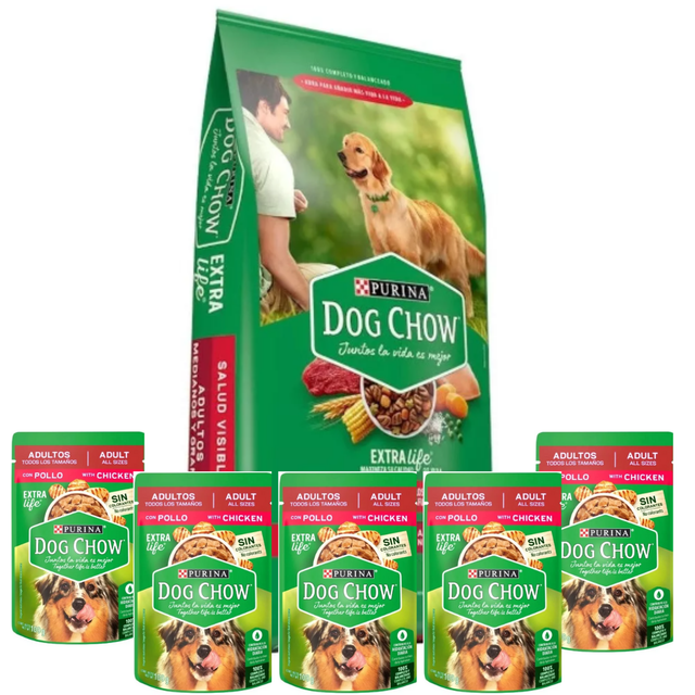 alimento para perro dog chow adulto razas medianas y grandes 25 kg saco verde frontal con perro golden retriever junto a una figura humana, logotipo Purina Dog Chow centrado y gráfico de croquetas y granos en la base, vista 3/4 en fondo neutro. Su tamaño compacto en imagen lo hace adecuado para almacenamiento en despensa.