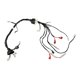 thumbnail image 1 of Arnés Principal At110rt Con Led 2021 Italika Original, 1 of 3
