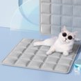 thumbnail image 1 of Alfombrilla de Hielo Suave para Personas y Mascotas, Cojines Refrescantes, Cojines para Mascotas, Cojín de Oficina. Contiene No Menos de 100 Ml de Líquido., 1 of 7
