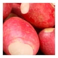 thumbnail image 4 of Rabanitos Por Pieza, 4 of 5