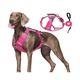 thumbnail image 2 of Pechera Arnés MASCOTAS Malubero FUCSIA talla XS, 2 of 5