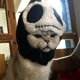 thumbnail image 2 of Sombrero de disfraz de mascota Yuyangstore para Halloween Esqueleto humano, 2 of 8