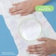 thumbnail image 5 of Bum Co.| Pañal desechable premium* para bebé, Etapa 7, 3XG (más de 17 kg), Unisex, Caja con 160 pz | Overnight Protection, Cloud Feel, Hipoalergénicos, Dri-Tech, 5 of 12