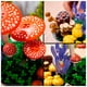 thumbnail image 5 of Set LEGO Botanicals Hongos del Bosque 11505, 5 of 5