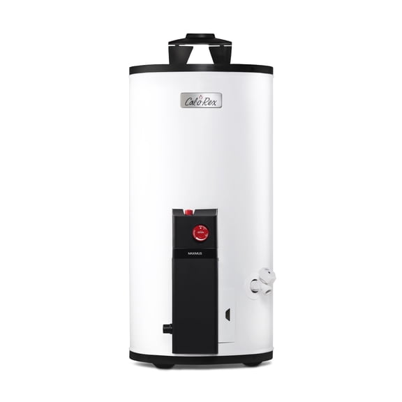 Calentador de Agua Depósito Calorex MAXIMUS G10 NAT 1 Servicio 38L