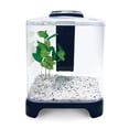 thumbnail image 1 of Acuario Mini Lomas 6 L, 1 of 2