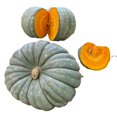 thumbnail image 2 of Calabaza Pastel, 2 of 8