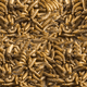 thumbnail image 2 of Snack Larva de Mosca Soldado RedKite para Hurones Erizos y Mapaches Proteína Alta, 2 of 3