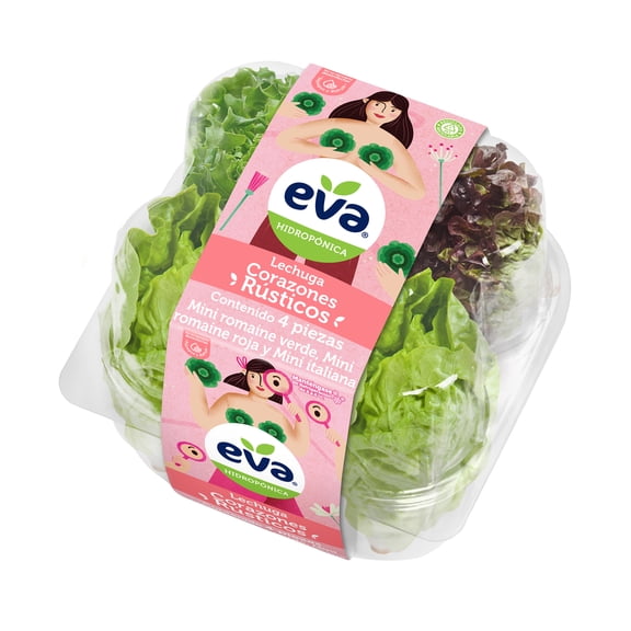 Lechuga Corazones Rústicos Eva Hidropónicos 4 Piezas