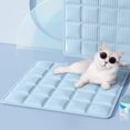 thumbnail image 1 of Alfombrilla de Hielo Suave para Personas y Mascotas, Cojines Refrescantes, Cojines para Mascotas, Cojín de Oficina. Contiene No Menos de 100 Ml de Líquido., 1 of 7