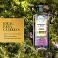 thumbnail image 3 of Shampoo Herbal Essences Bio:Renew Rosemary & Herbs 400 ml, 3 of 5
