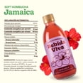 thumbnail image 2 of Bebida Kombucha con probióticos jamaica 377 ml, 2 of 4