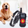 thumbnail image 4 of Collar de adiestramiento para perros, recargable, para perros pequeños, medianos y grandes, 3+1 modos de entrenamiento, control remoto de 800 m, collares de adiestramiento para perros, 4 of 5