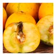 thumbnail image 4 of Tejocote por kilo, 4 of 6