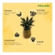 thumbnail image 4 of Piña Miel por kilo, 4 of 5