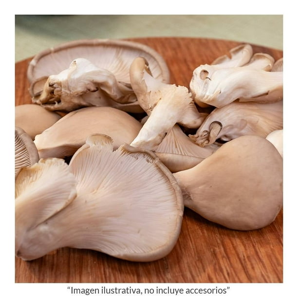 Imagen 3 de Seta Monteblanco Entera Conserva en Salmuera 250 g