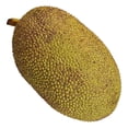 thumbnail image 1 of Yaca Por Kilo, 1 of 7