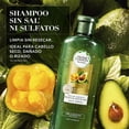 thumbnail image 2 of Shampoo Herbal Essences para cabello seco Nutre e Hidrata Pequi & Aguacate sin sal 400 ml, 2 of 5