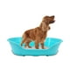 thumbnail image 1 of KE WOOW Cama Chica para Perro, Gato, Conejo y otras Mascotas, Cesta de Plástico, Incluye Colchón Doble Cara, Color Verde KE WOOW Cama Plana con colchón Chica, 1 of 10