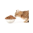 thumbnail image 3 of Güesos Gatos 10 kg + MIAUKISS LICKABLE SALMON 4 PACK 56GR, 3 of 3