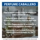 thumbnail image 4 of Loción caballero Guess 75Ml Edt Spray, 4 of 4