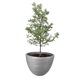 thumbnail image 1 of Atmos Homeware Macetas Decorativas para Interior y Exterior |  1 Maceta Grande de Plástico con Capacidad para 45 Litros | Modelo Kun color Plata 1 Piezas., 1 of 6