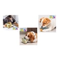 thumbnail image 4 of Paquete Ganador premium adulto razas med 20 kg + 1 Juguete barrigon squeaker Fancy pets, 4 of 4