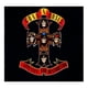 thumbnail image 1 of Guns N Roses - Appetite For Destruction - Disco Cd Universal Guns N Roses - Appetite For Destruction - Disco Cd, 1 of 1