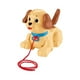 thumbnail image 1 of Andadera para Bebé Mattel Fisher-Price Pequeño Snoopy, 1 of 6