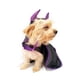 thumbnail image 1 of Disfraz Malefican para Perro Pet Pals Talla 6, 1 of 4
