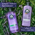 thumbnail image 5 of Acondicionador Herbal Essences Anti-Frizz lavanda & Aceite de Almendras 400 ml, 5 of 5