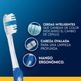 thumbnail image 2 of Cepillo de Dientes Oral-B Indicator con Cerdas Medias, 2 pzas, 2 of 5