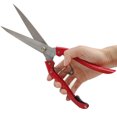 thumbnail image 3 of Tijeras Profesionales Para Esquilar Ovejas/Cabras, Acero Al Carbono Con Resorte, Corte Preciso Para Ganado Y Mascotas, Diseño Ergonómico, 3 of 9