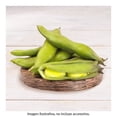 thumbnail image 2 of Verdura Haba Fresca Por Kilo, 2 of 7