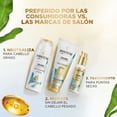 thumbnail image 4 of Shampoo Equilibrante Pantene Pro-V Miracles Equilibrio Raíz y Puntas 300 ml, 4 of 5