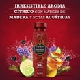 thumbnail image 4 of Desodorante Body Spray Old Spice Ocean Legend 96 g/150 ml, 4 of 5
