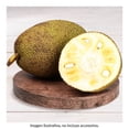 thumbnail image 2 of Yaca Por Kilo, 2 of 7