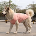 thumbnail image 3 of Zhuge Chaleco para perros y gatos, chaleco transpirable para mascotas, sudadera para cachorros, ropa para perros, abrigos para perros pequeños, medianos y gatos, 5XL, A30, 3 of 4