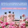thumbnail image 5 of Acondicionador Suavidad Rosa Mosqueta Herbal Essences para mayor brillo y suavidad 400 ml, 5 of 5